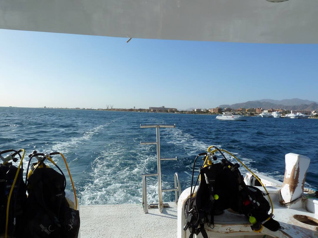 P1010694.jpg