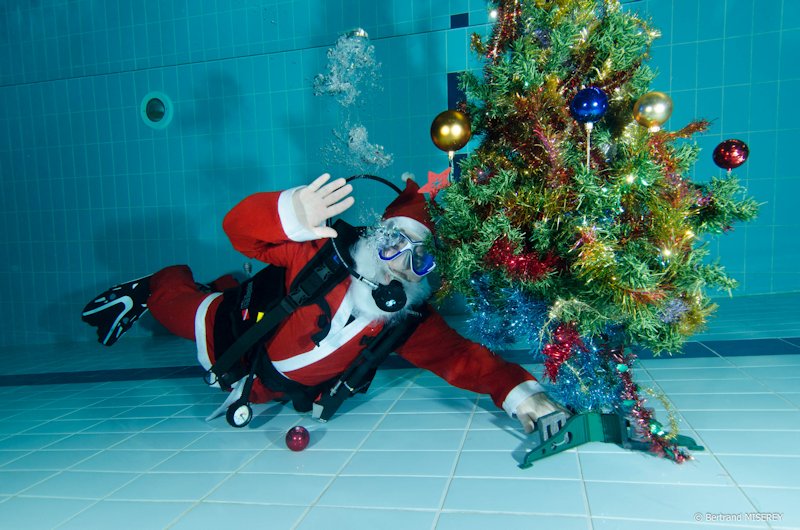 Sapin.jpg